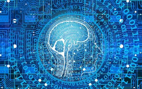 artificial intelligence, network, programming, web, brain, computer science, technology, printed circuit board, information, data, data exchange, digital, communication, artificial intelligence, artificial intelligence, artificial intelligence, artificial intelligence, brain, brain, technology, technology, technology, technology, technology, data, digital, digital