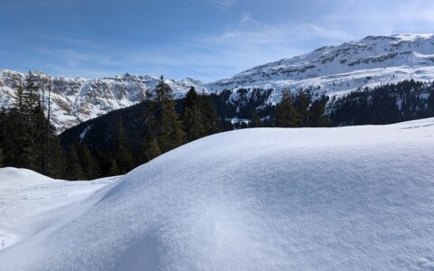 winter, snow, nature, frost, landscape, cold, trees, frozen, wintry, snowy, swiss, switzerland, mountains, grisons, graubünden, alps, scenery, alpine, countryside, mountainous